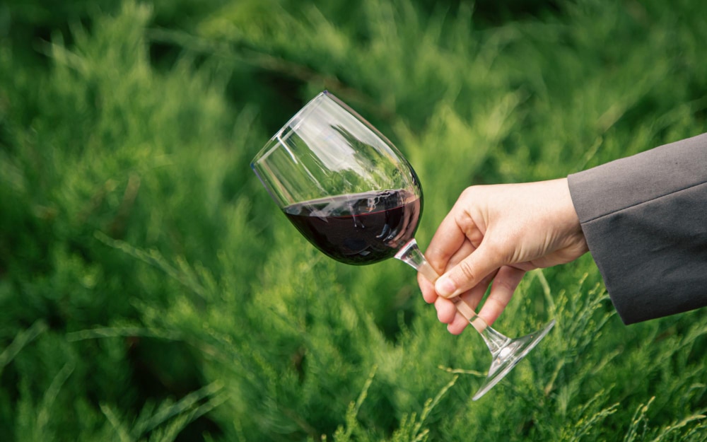 que es un vino vegano